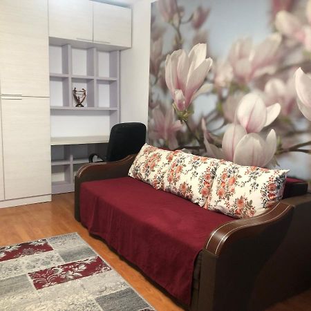 Apartament Magnolia, Piata Gorjului- Metrou Διαμέρισμα Βουκουρέστι Εξωτερικό φωτογραφία